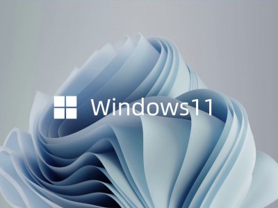 win11体系
下载迅雷_win 11 下载「windows11 iso 下载」