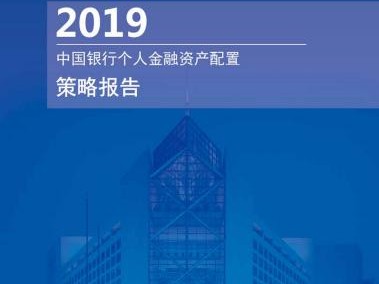 金融体系
个人2019总结（金融体系
个人2019总结报告
）「金融工作体系」