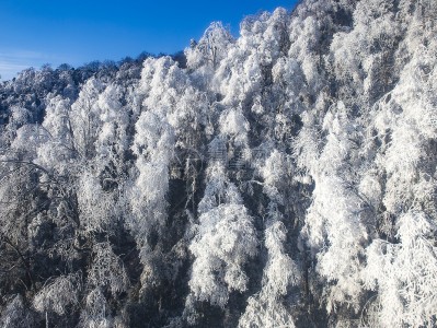 服务器冰天雪地（冰天雪地场景任务

）「冰天雪地场景怎么获取」