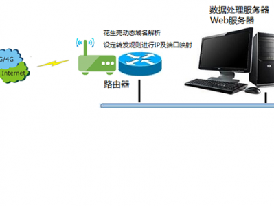 蒲公英搭建web服务器（蒲公英怎么搭建假造
局域网）「蒲公英怎么创建服务器」