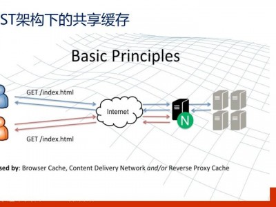 nginx服务器集群（nginx集群架构）「nginx 集群」