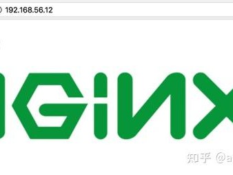 nginx卑鄙
服务器（nginx 服务器设置
）「nginx bypass」