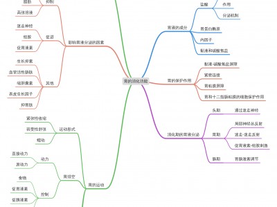 2016消化体系
条记
（消化体系
疾病条记
）「消化系统疾病目录」